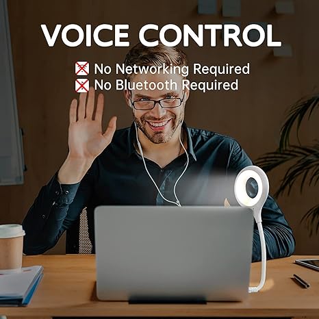 Smart Voice Activated And Controlled USB Light